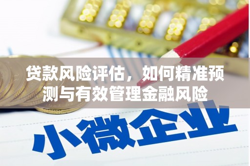 南充贷款风险评估，如何精准预测与有效管理金融风险