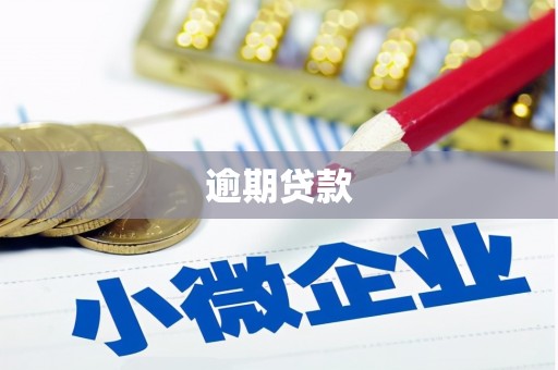 南充逾期贷款