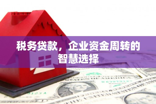 南充税务贷款，企业资金周转的智慧选择
