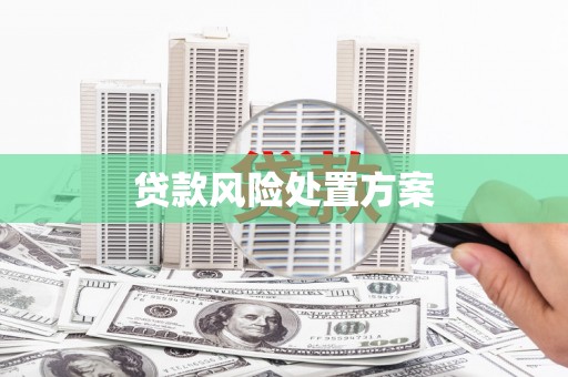 南充贷款风险处置方案