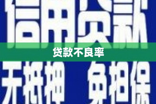 南充贷款不良率