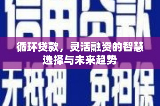 南充循环贷款，灵活融资的智慧选择与未来趋势