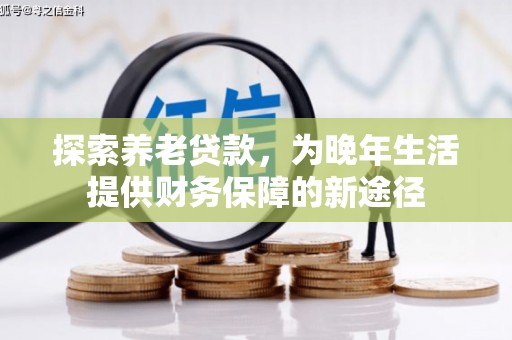 南充探索养老贷款，为晚年生活提供财务保障的新途径