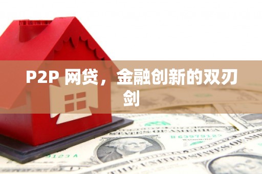 南充P2P 网贷，金融创新的双刃剑