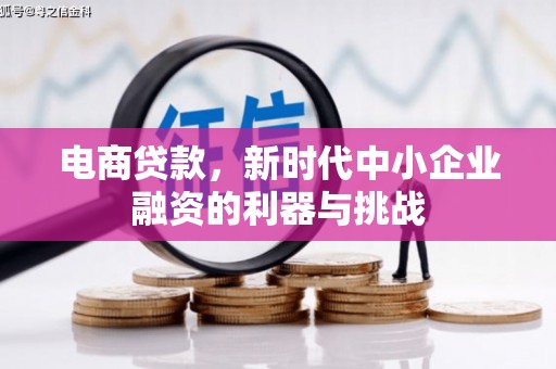 南充电商贷款，新时代中小企业融资的利器与挑战