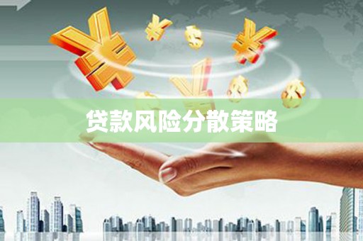 南充贷款风险分散策略
