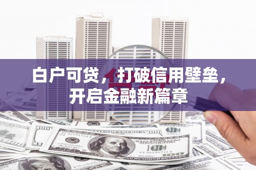 南充白户可贷，打破信用壁垒，开启金融新篇章