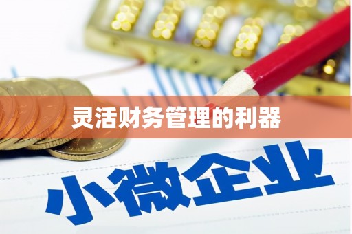南充灵活财务管理的利器
