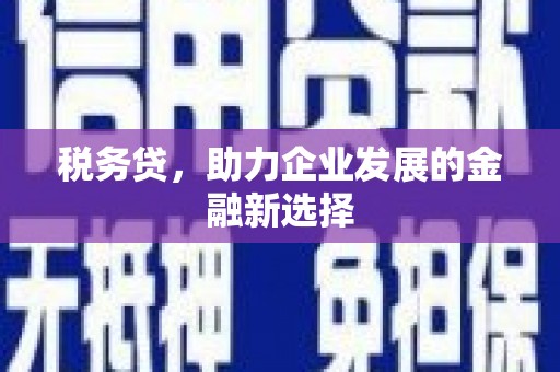 南充税务贷，助力企业发展的金融新选择