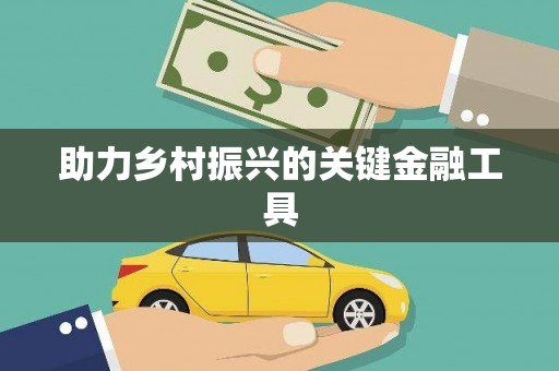 南充助力乡村振兴的关键金融工具