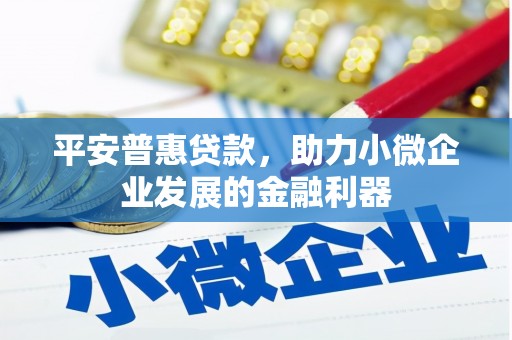 南充平安普惠贷款，助力小微企业发展的金融利器