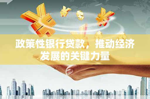 南充政策性银行贷款，推动经济发展的关键力量