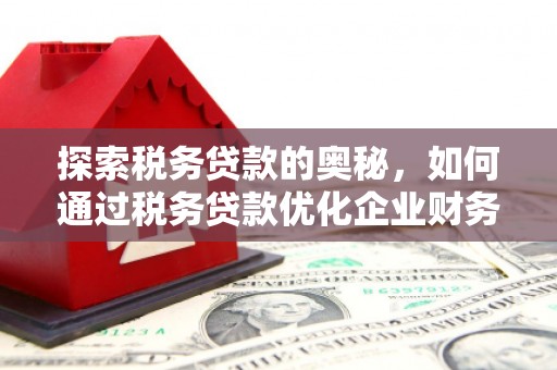 南充探索税务贷款的奥秘，如何通过税务贷款优化企业财务