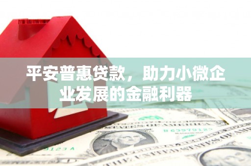 南充平安普惠贷款，助力小微企业发展的金融利器