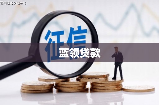 南充蓝领贷款