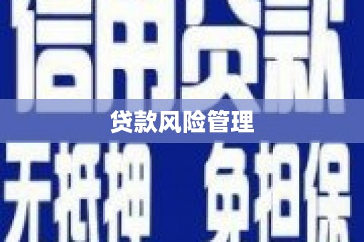 南充贷款风险管理