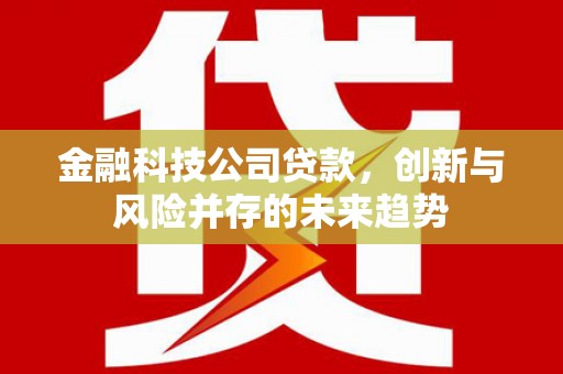 南充金融科技公司贷款，创新与风险并存的未来趋势