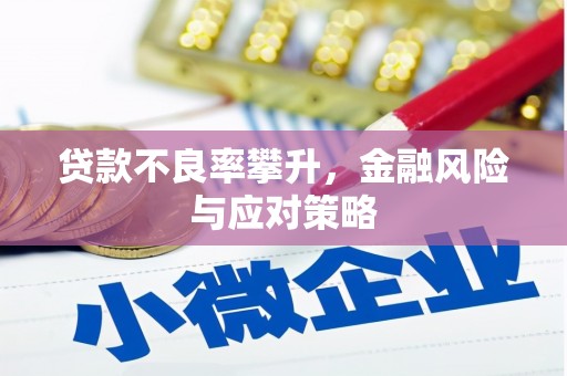 南充贷款不良率攀升，金融风险与应对策略