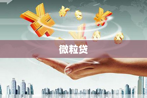 南充微粒贷