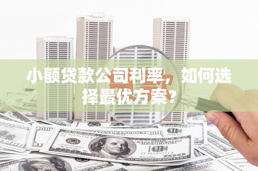 南充小额贷款公司利率，如何选择最优方案？