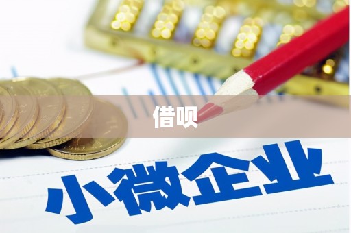 南充借呗