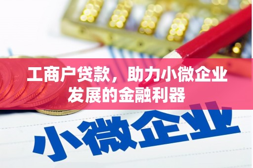 南充工商户贷款，助力小微企业发展的金融利器