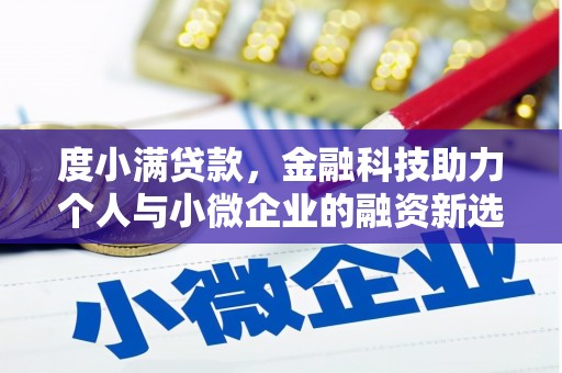 南充度小满贷款，金融科技助力个人与小微企业的融资新选择