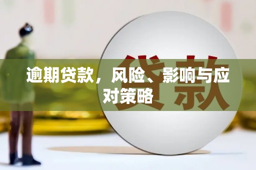南充逾期贷款，风险、影响与应对策略