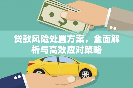 南充贷款风险处置方案，全面解析与高效应对策略
