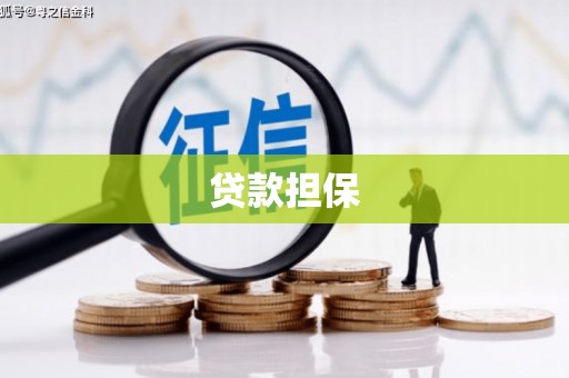 南充贷款担保
