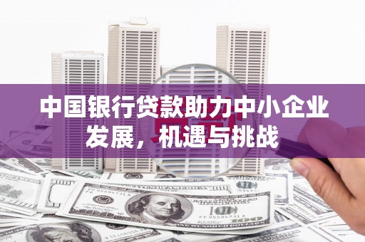 南充中国银行贷款助力中小企业发展，机遇与挑战