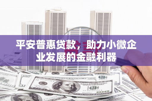 南充平安普惠贷款，助力小微企业发展的金融利器