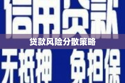 南充贷款风险分散策略