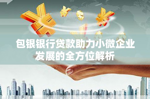 南充包银银行贷款助力小微企业发展的全方位解析