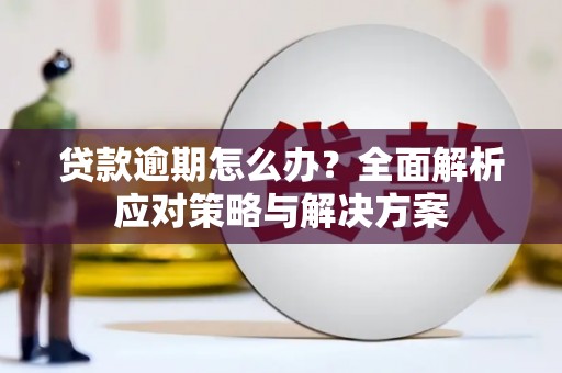 南充贷款逾期怎么办？全面解析应对策略与解决方案