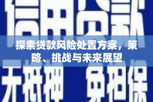 南充探索贷款风险处置方案，策略、挑战与未来展望