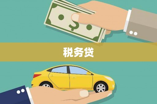 南充税务贷