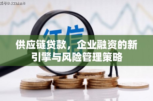 南充供应链贷款，企业融资的新引擎与风险管理策略