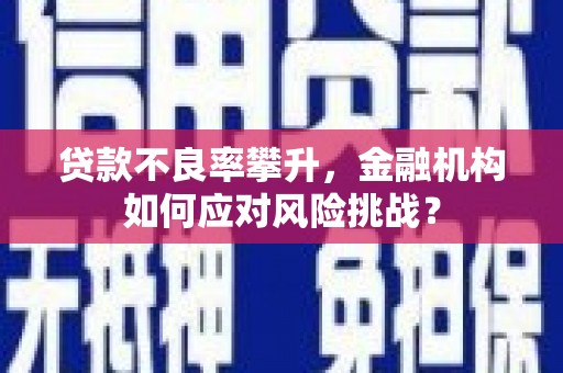 南充贷款不良率攀升，金融机构如何应对风险挑战？