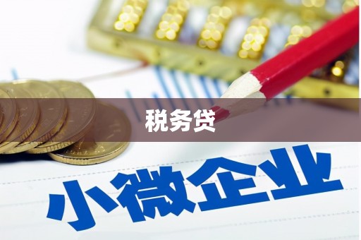 南充税务贷