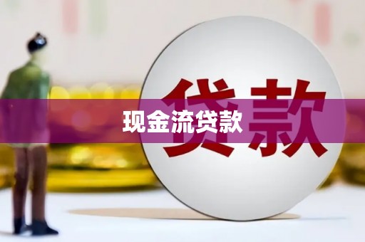 南充现金流贷款