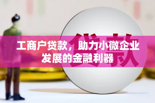 南充工商户贷款，助力小微企业发展的金融利器