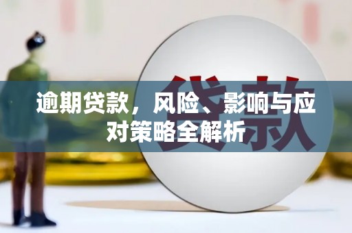 南充逾期贷款，风险、影响与应对策略全解析