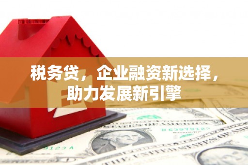 南充税务贷，企业融资新选择，助力发展新引擎
