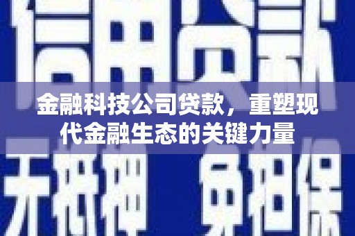 南充金融科技公司贷款，重塑现代金融生态的关键力量