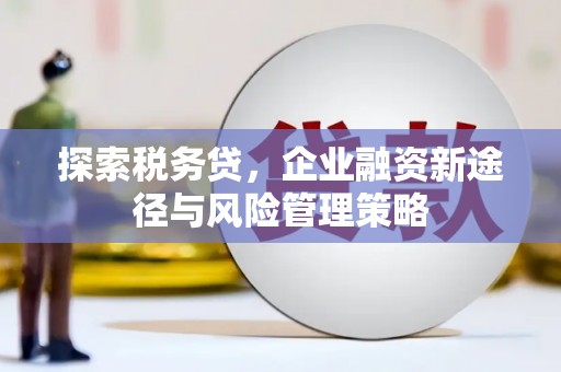 南充探索税务贷，企业融资新途径与风险管理策略
