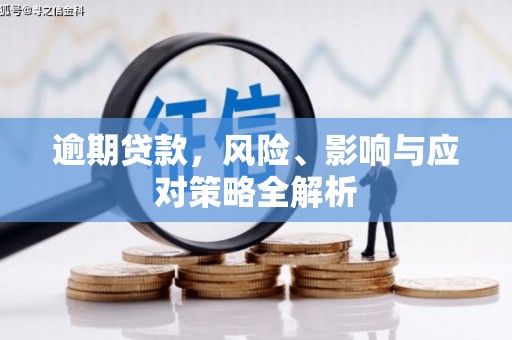 南充逾期贷款，风险、影响与应对策略全解析