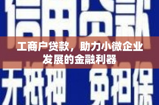 南充工商户贷款，助力小微企业发展的金融利器