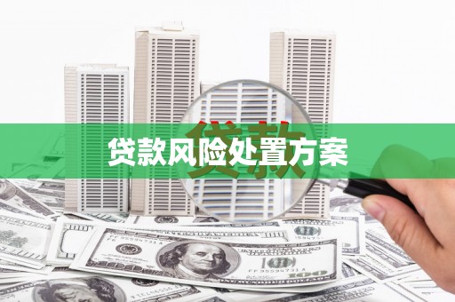 南充贷款风险处置方案