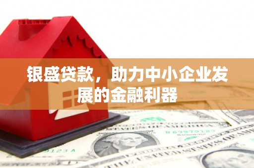 南充银盛贷款，助力中小企业发展的金融利器
